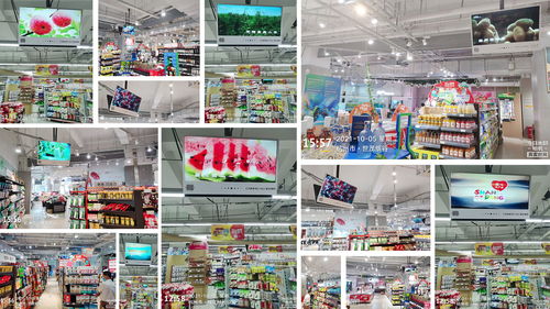 鯉想記丨山東品牌農產品頻道十一 持續發力，構建初級農產品品質長城