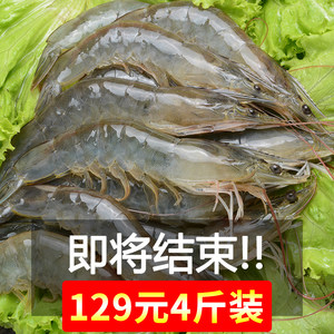 冰與鮮的博弈 探尋盒裝凍蝦背后的品質密碼